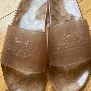 Coach Ulyssa  Transparent Slides